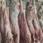качественная мясная продукция оптом в Можайске